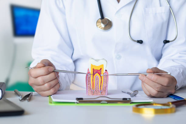 Best Emergency Dentist for Lost Fillings or Crowns in Stanley, ND